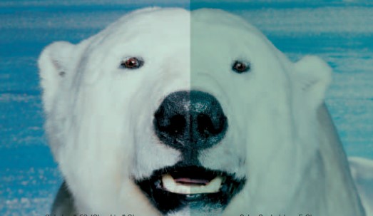 918.com(中国区)官方网站