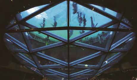 918.com(中国区)官方网站